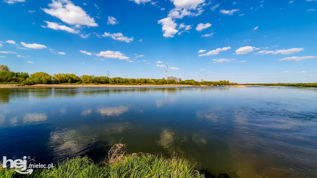 Niski poziom Wisły w powiecie mieleckim - kwiecień 2020