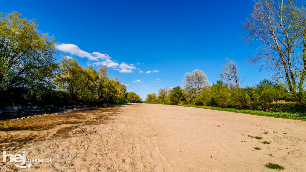 Niski poziom Wisły w powiecie mieleckim - kwiecień 2020