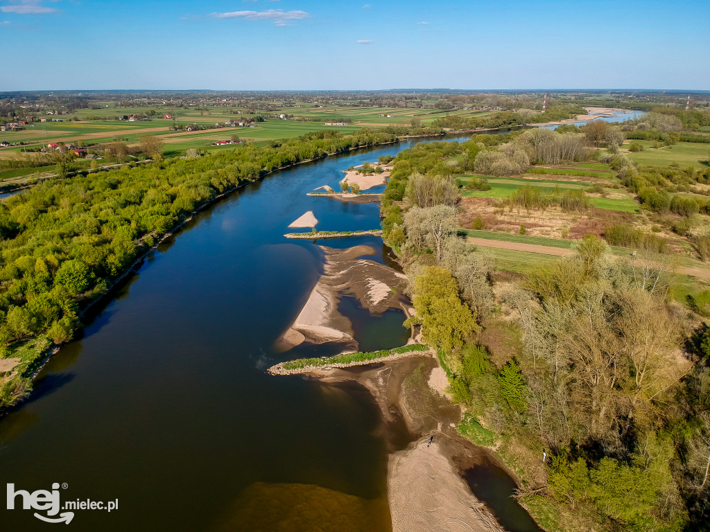 Niski poziom Wisły w powiecie mieleckim - kwiecień 2020
