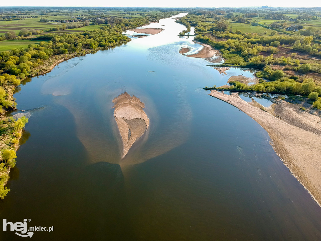 Niski poziom Wisły w powiecie mieleckim - kwiecień 2020