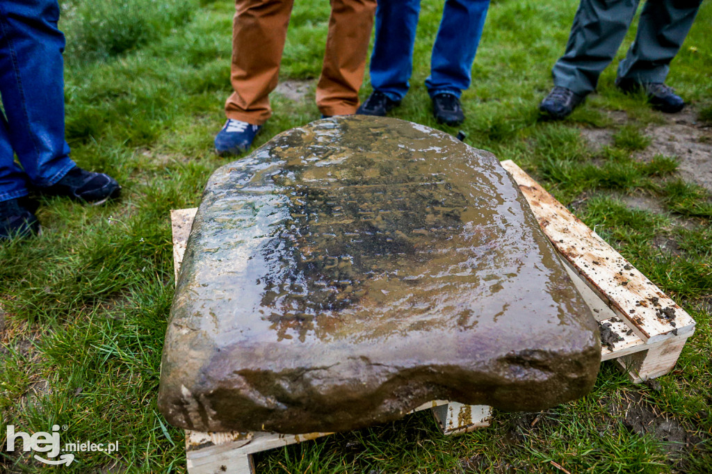 Historyczne znalezisko nad Wisłoką
