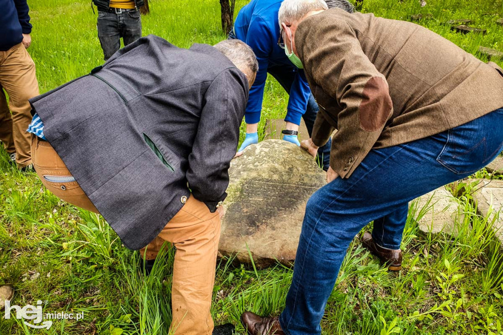 Historyczne znalezisko nad Wisłoką