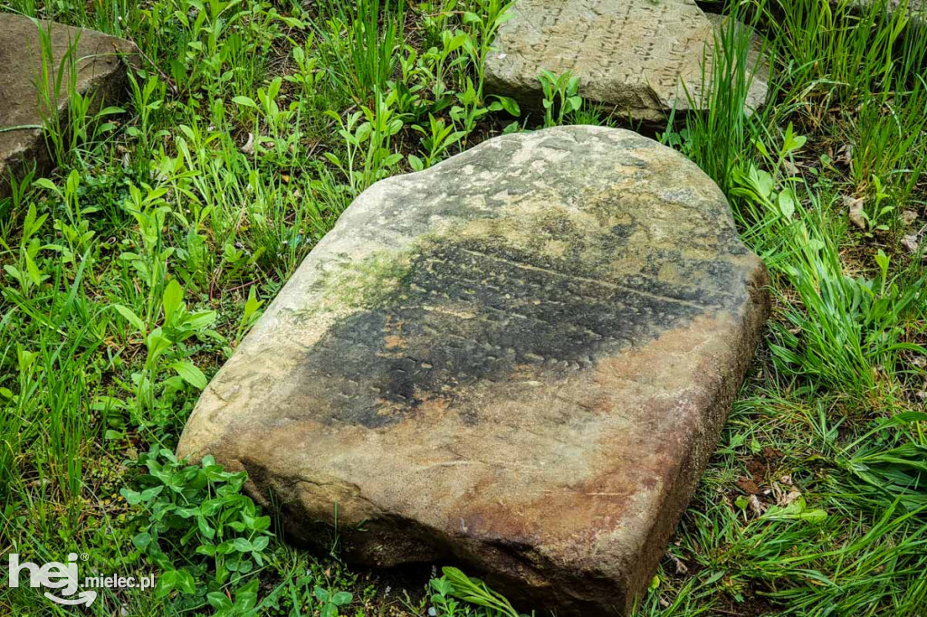 Historyczne znalezisko nad Wisłoką