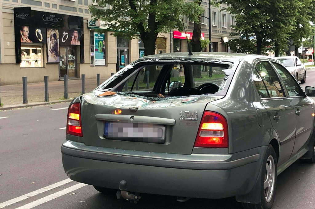 Drzewo spadło na skodę