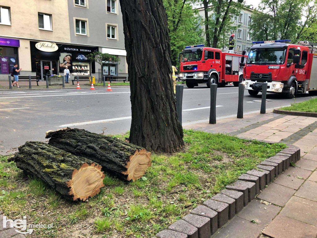 Drzewo spadło na skodę