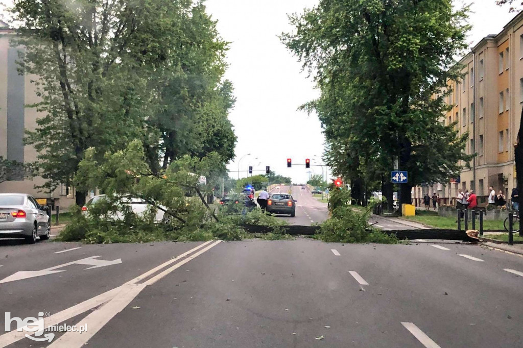 Drzewo spadło na skodę