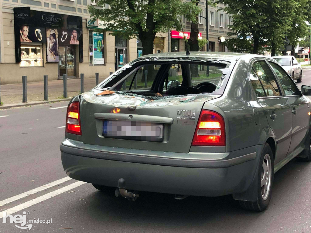 Drzewo spadło na skodę