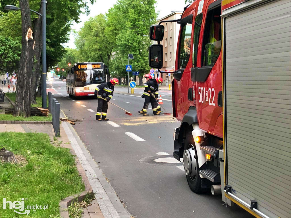 Drzewo spadło na skodę