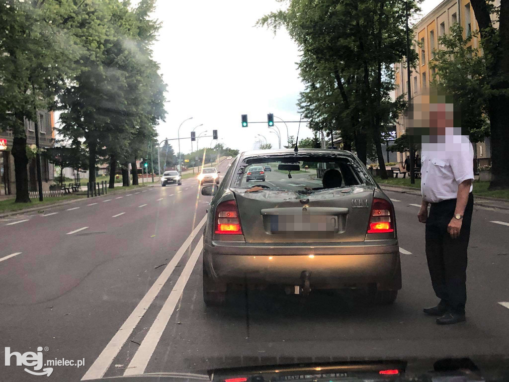 Drzewo spadło na skodę