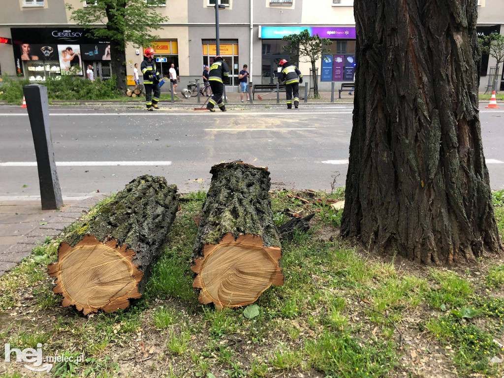 Drzewo spadło na skodę
