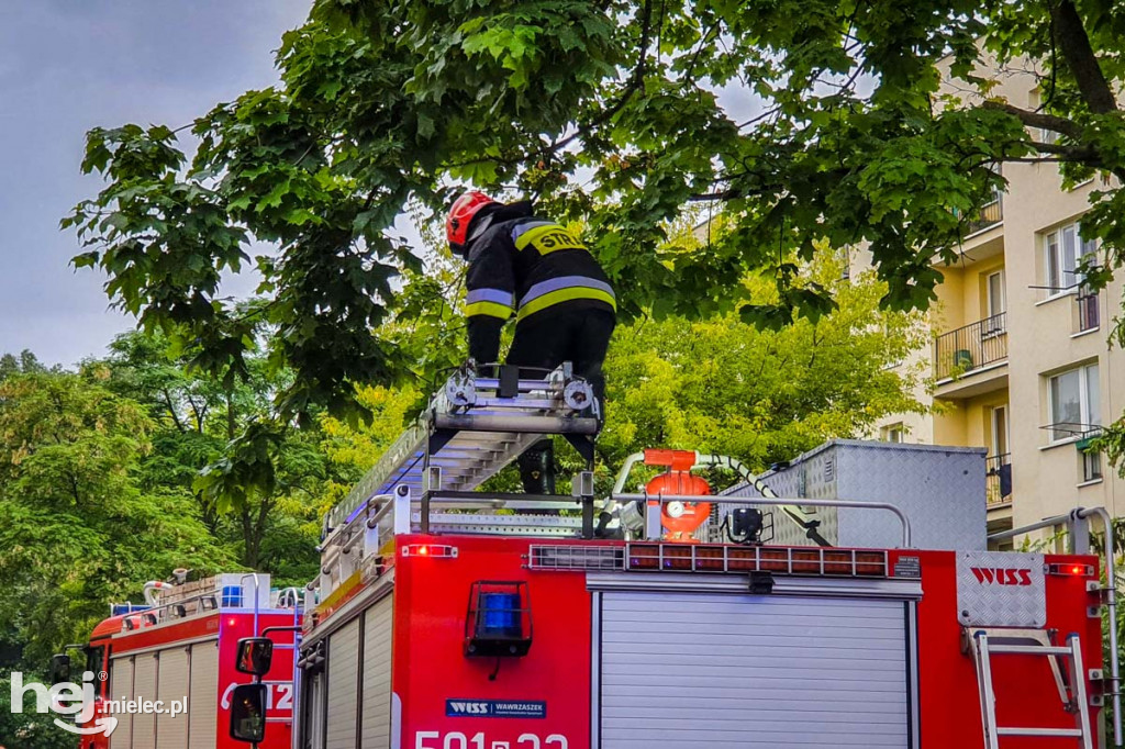 Pożar w mieszkaniu przy Spółdzielcznej