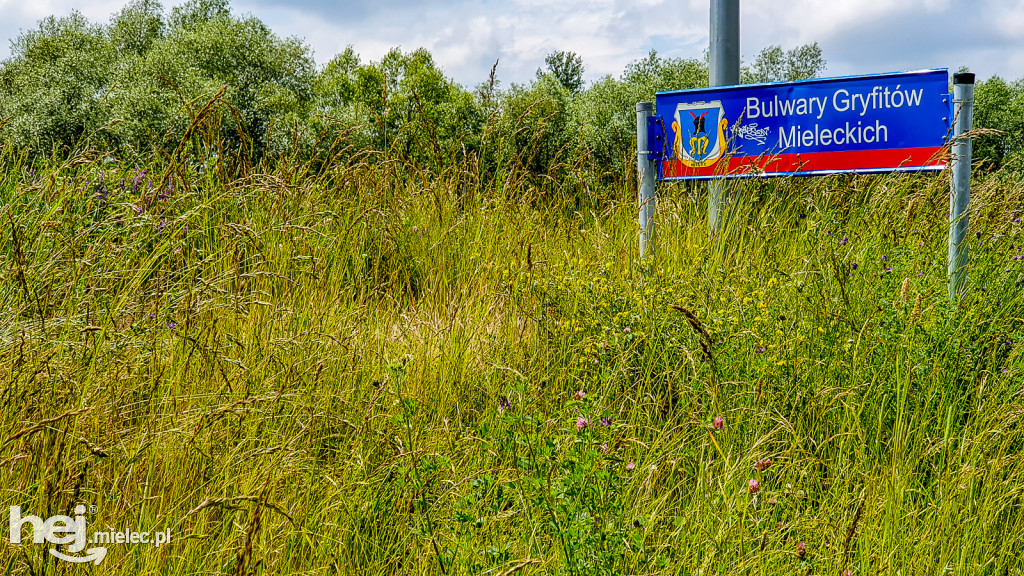 Bulwary mocno zarosły. Czytelnik: to niebezpieczne