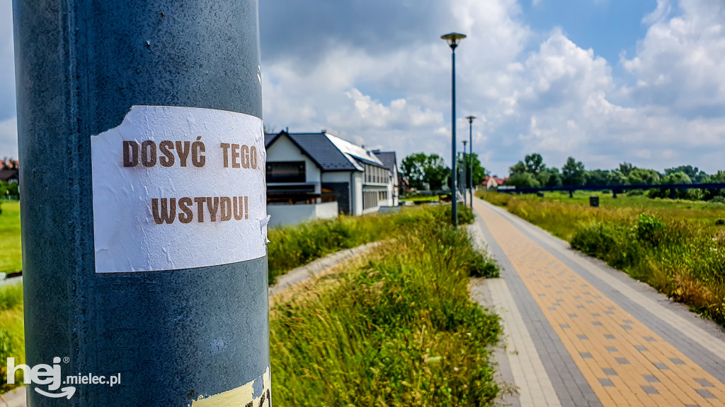 Bulwary mocno zarosły. Czytelnik: to niebezpieczne