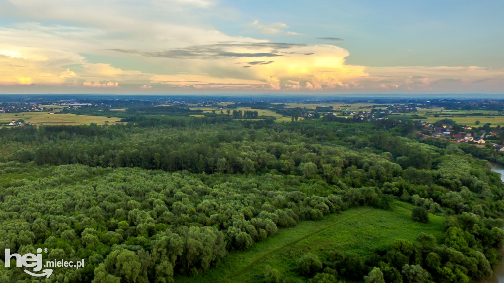Nowe wały przy Wisłoce w Kiełkowie i Rzochowie [DRON]