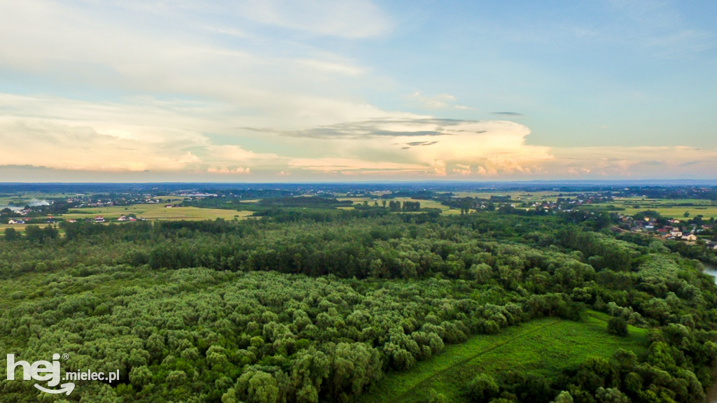 Nowe wały przy Wisłoce w Kiełkowie i Rzochowie [DRON]