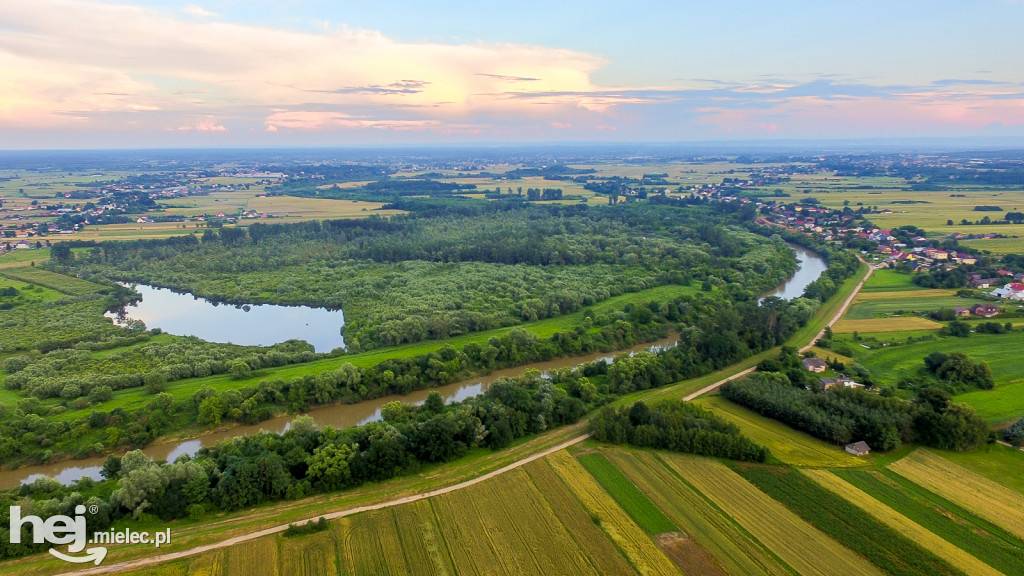 Nowe wały przy Wisłoce w Kiełkowie i Rzochowie [DRON]