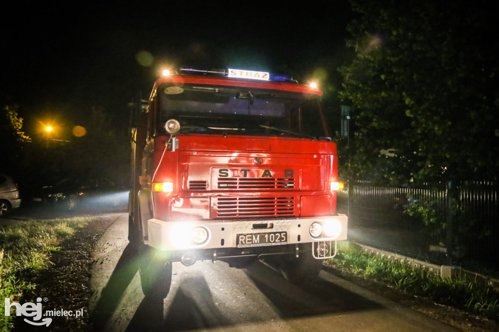 Nocne poszukiwania kobiety w lesie szydłowieckim