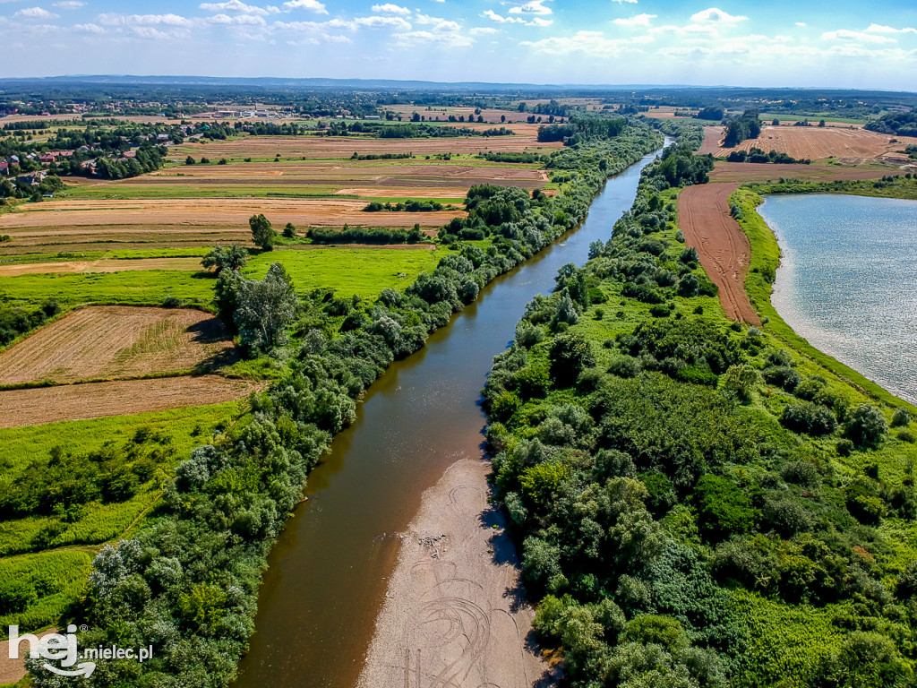 Kieł mamuta w Wisłoce