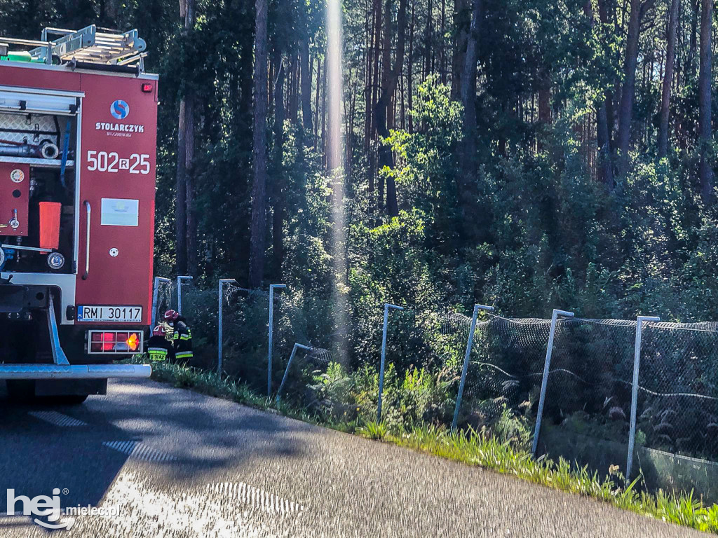 Bus dachował na obwodnicy Mielca