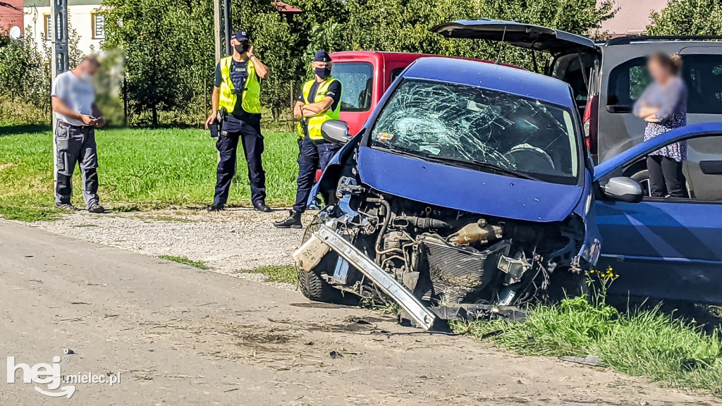 Dachowanie w Złotnikach