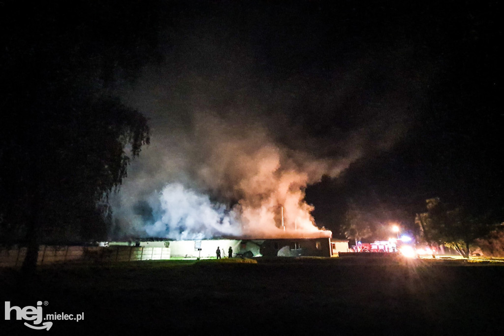 Potężny pożar w hodowli drobiu