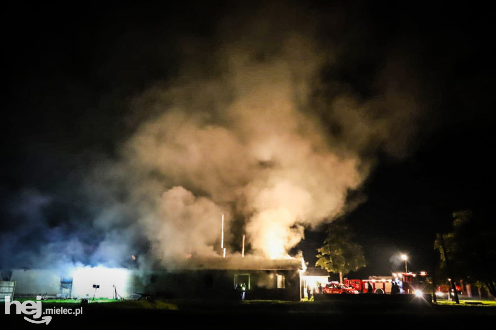 Potężny pożar w hodowli drobiu