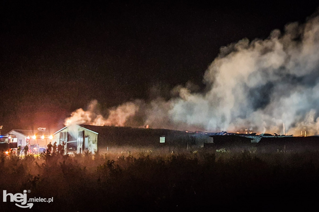 Potężny pożar w hodowli drobiu