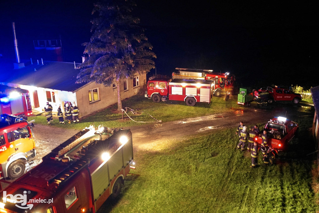 Potężny pożar w hodowli drobiu