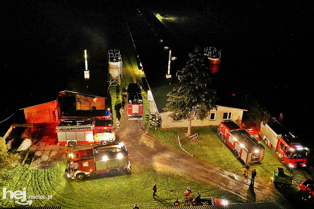 Potężny pożar w hodowli drobiu