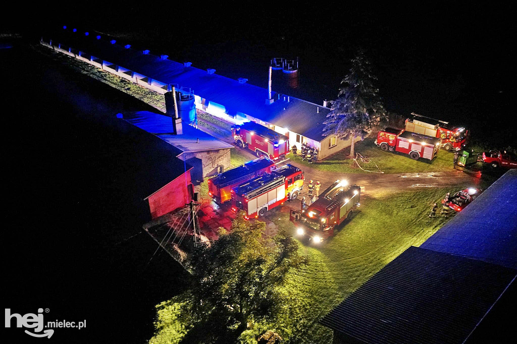 Potężny pożar w hodowli drobiu