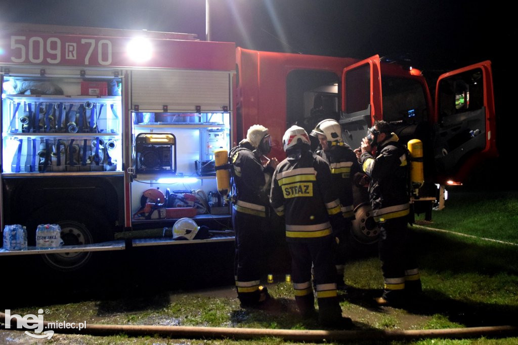 Potężny pożar w hodowli drobiu