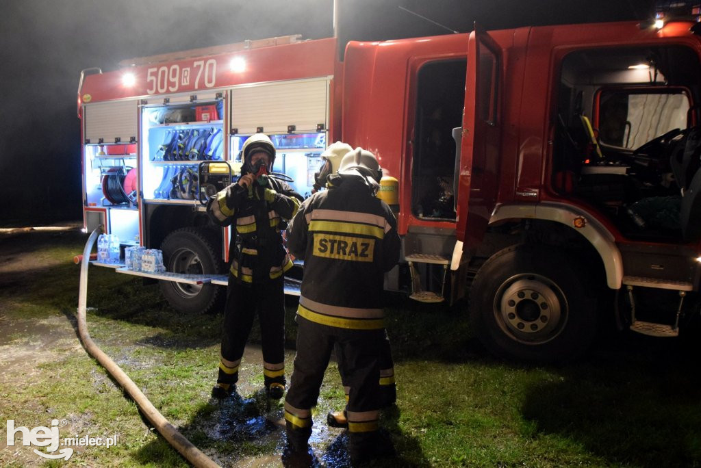 Potężny pożar w hodowli drobiu