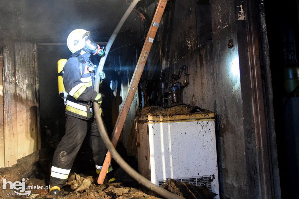Potężny pożar w hodowli drobiu