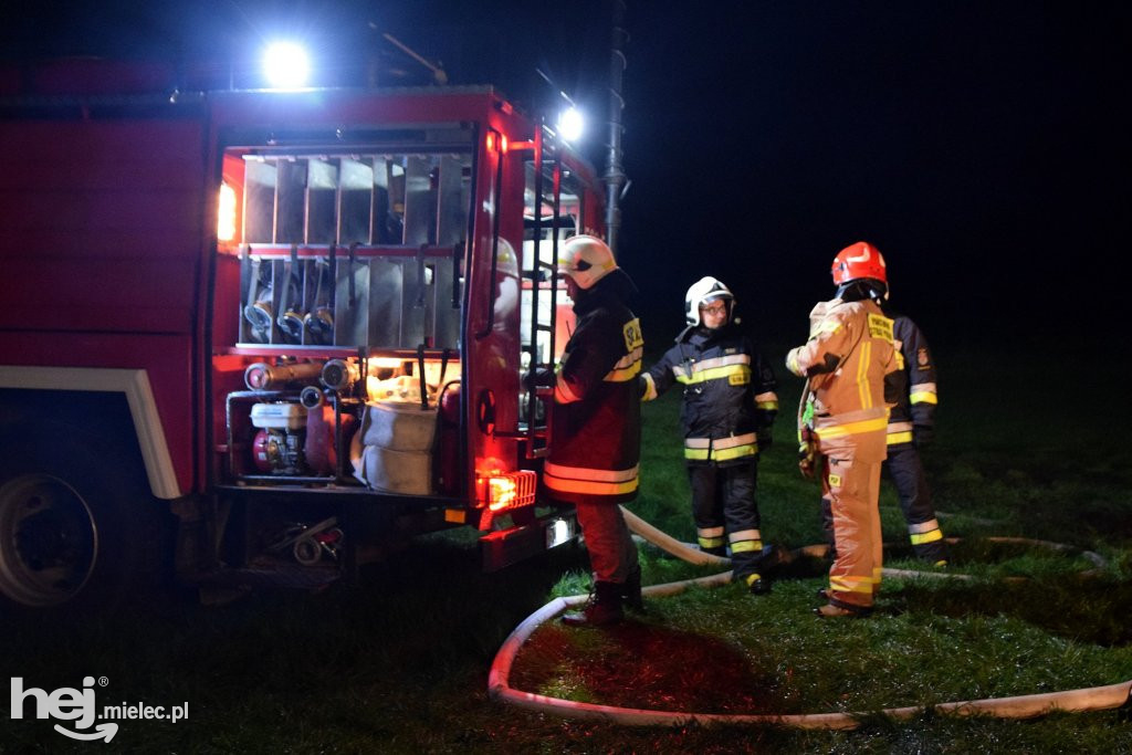 Potężny pożar w hodowli drobiu
