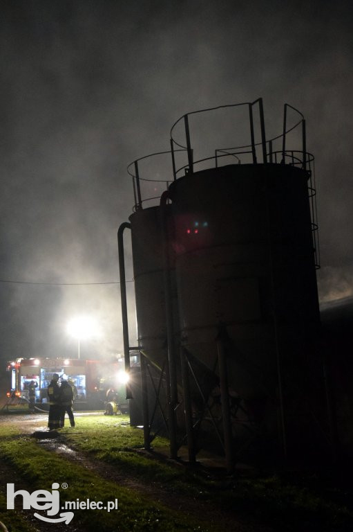 Potężny pożar w hodowli drobiu