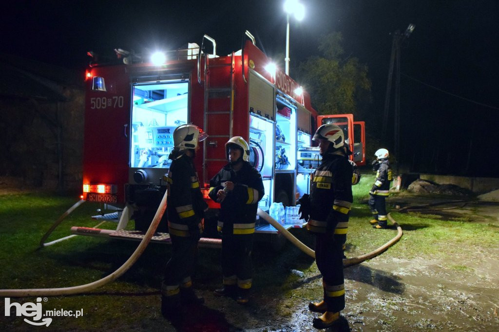 Potężny pożar w hodowli drobiu