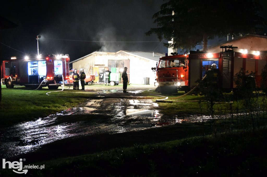 Potężny pożar w hodowli drobiu