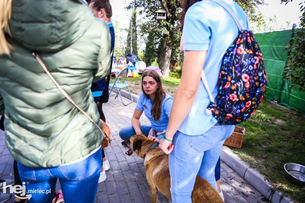 Niedziela dniem otwartym w schronisku