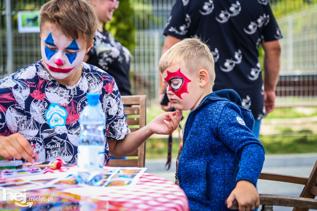 Niedziela dniem otwartym w schronisku