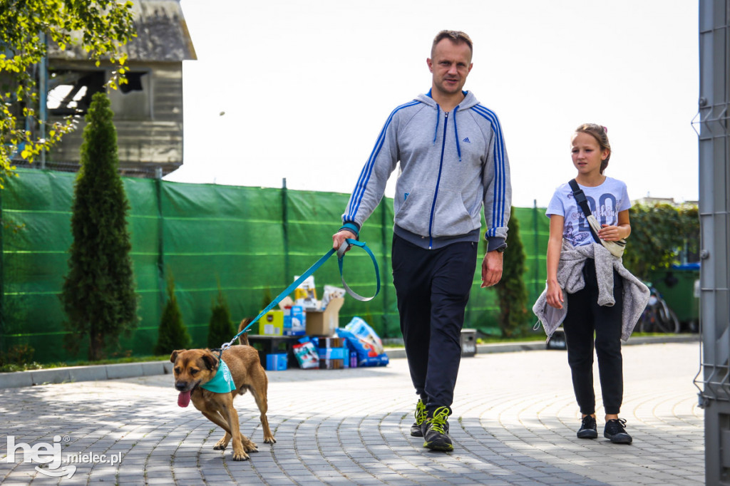 Niedziela dniem otwartym w schronisku