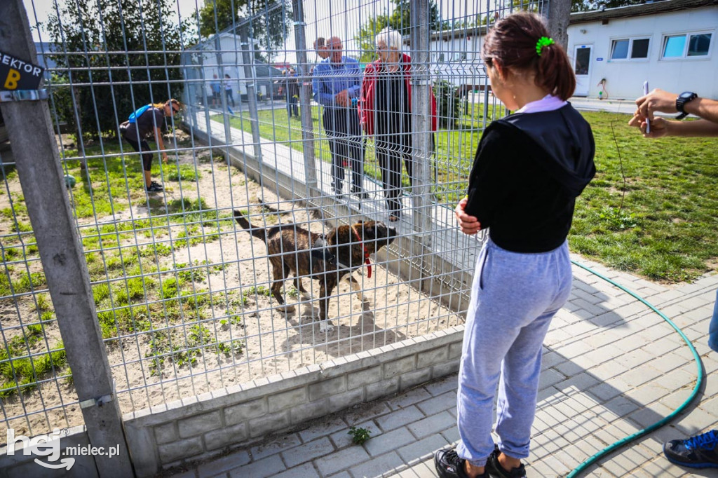 Niedziela dniem otwartym w schronisku
