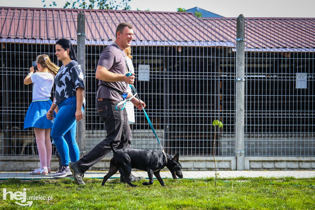 Niedziela dniem otwartym w schronisku