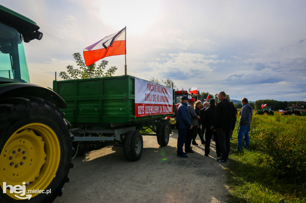 Protest rolników na drodze Dębica - Mielec