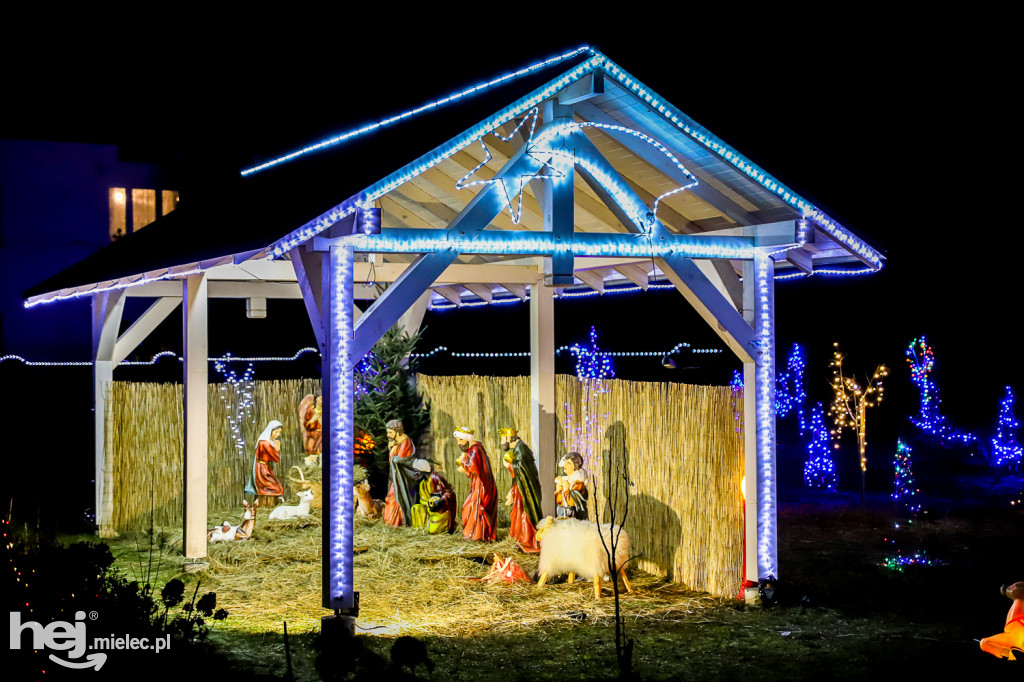 Świąteczne iluminacje gospodarstw w powiecie mieleckim