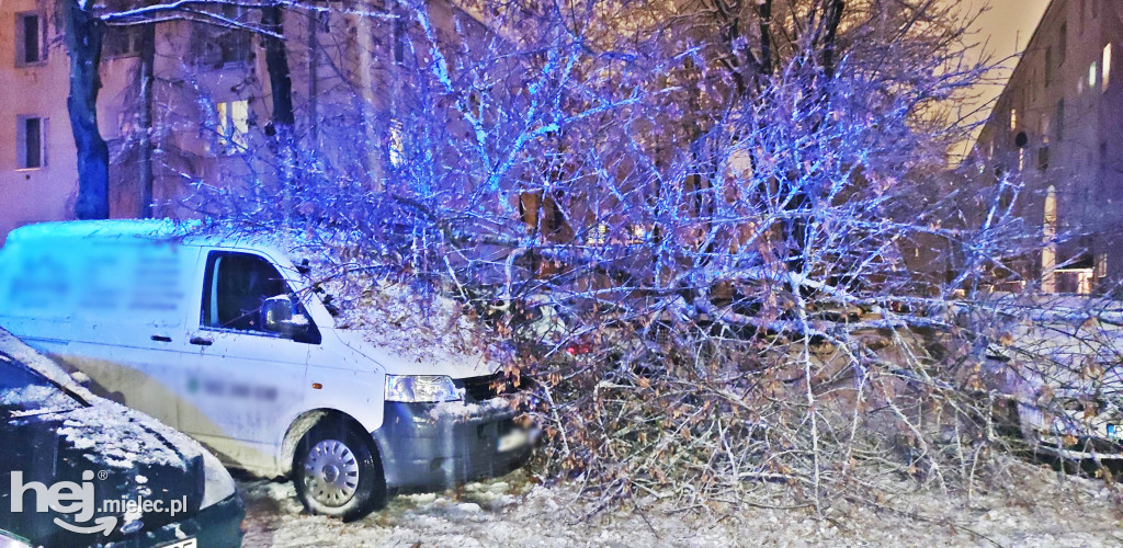 Drzewa łamią się pod ciężarem śniegu. W centrum spadło na auta