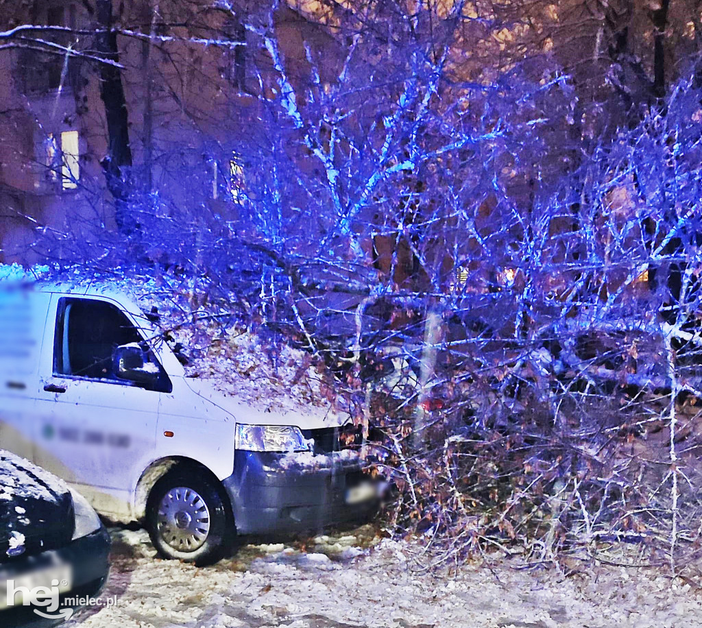 Drzewa łamią się pod ciężarem śniegu. W centrum spadło na auta