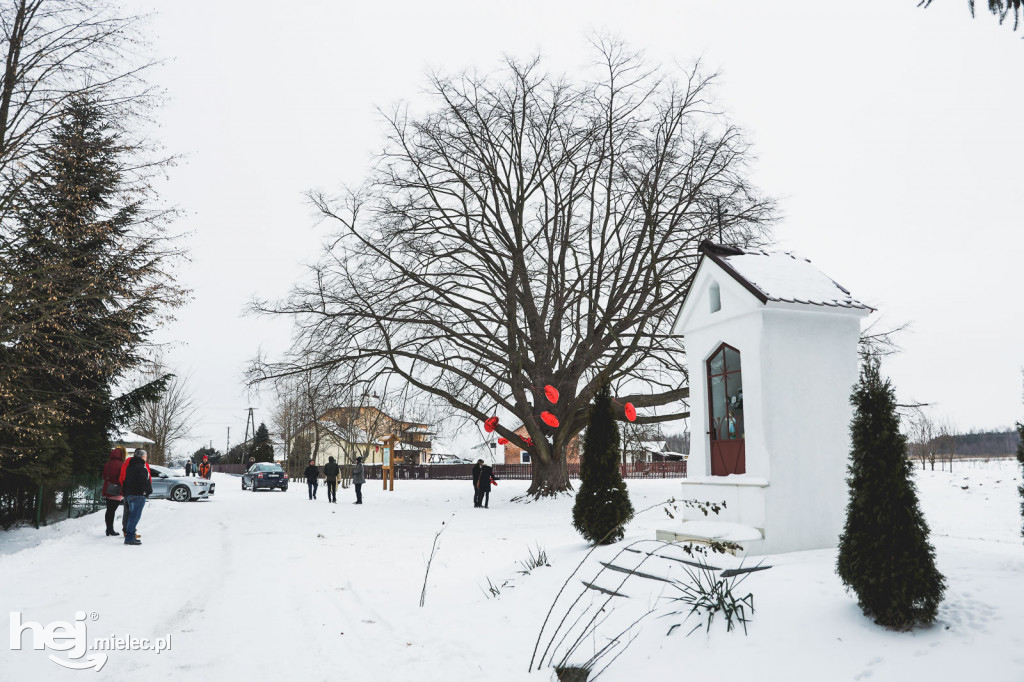 Walentynki pod lipą