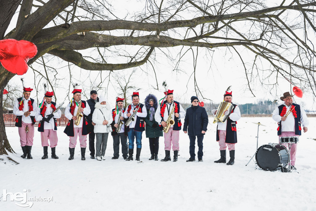 Walentynki pod lipą