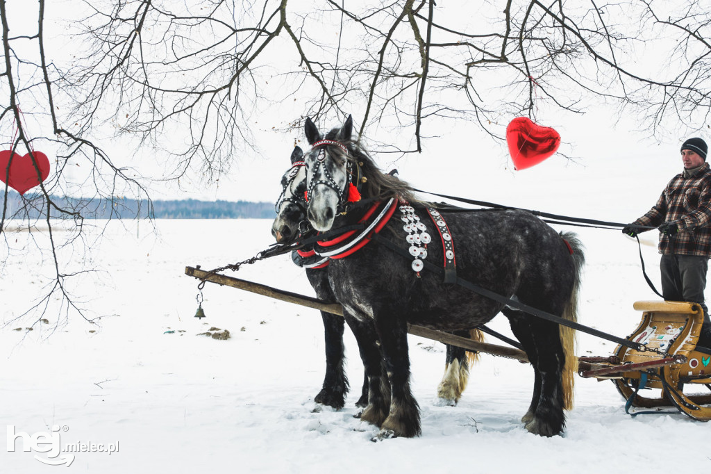 Walentynki pod lipą