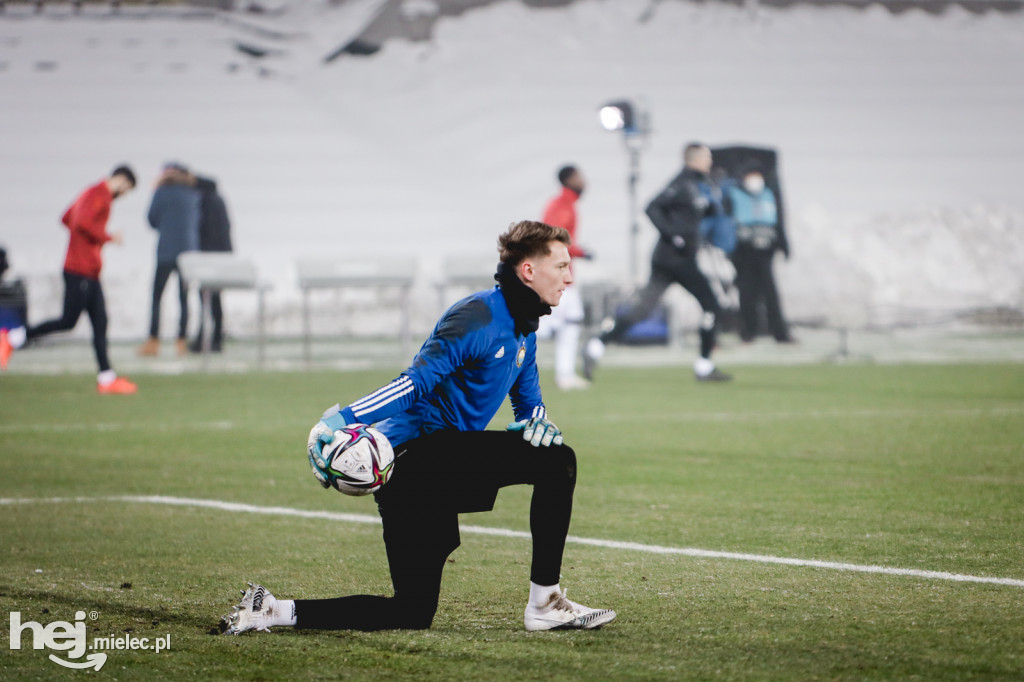 Górnik Zabrze - PGE FKS Stal Mielec